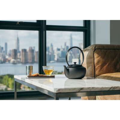 BALMUDA Electric kettle MoonKettle 0.9L Black KPT02JP-BK | eBay