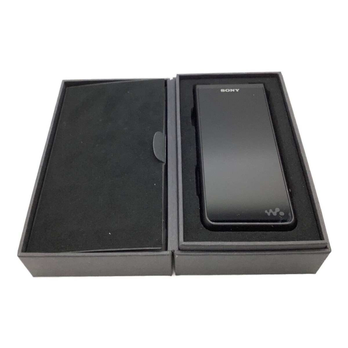 SONY Walkman NW-ZX507 64GB ZX Hi-Res Portable Audio Player English