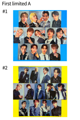 SEVENTEEN PHOTOCARD SHOHIKIGEN 消費期限 A ver. OFFICIAL – Choose