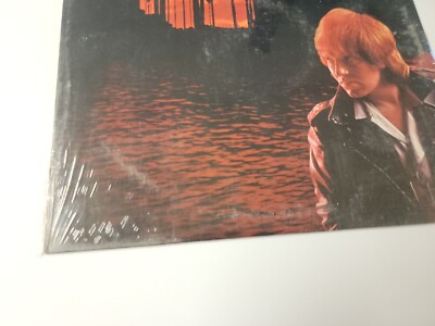 Robbie Patton Distant Shores Vintage Sealed Vinyl LP (New) | eBay