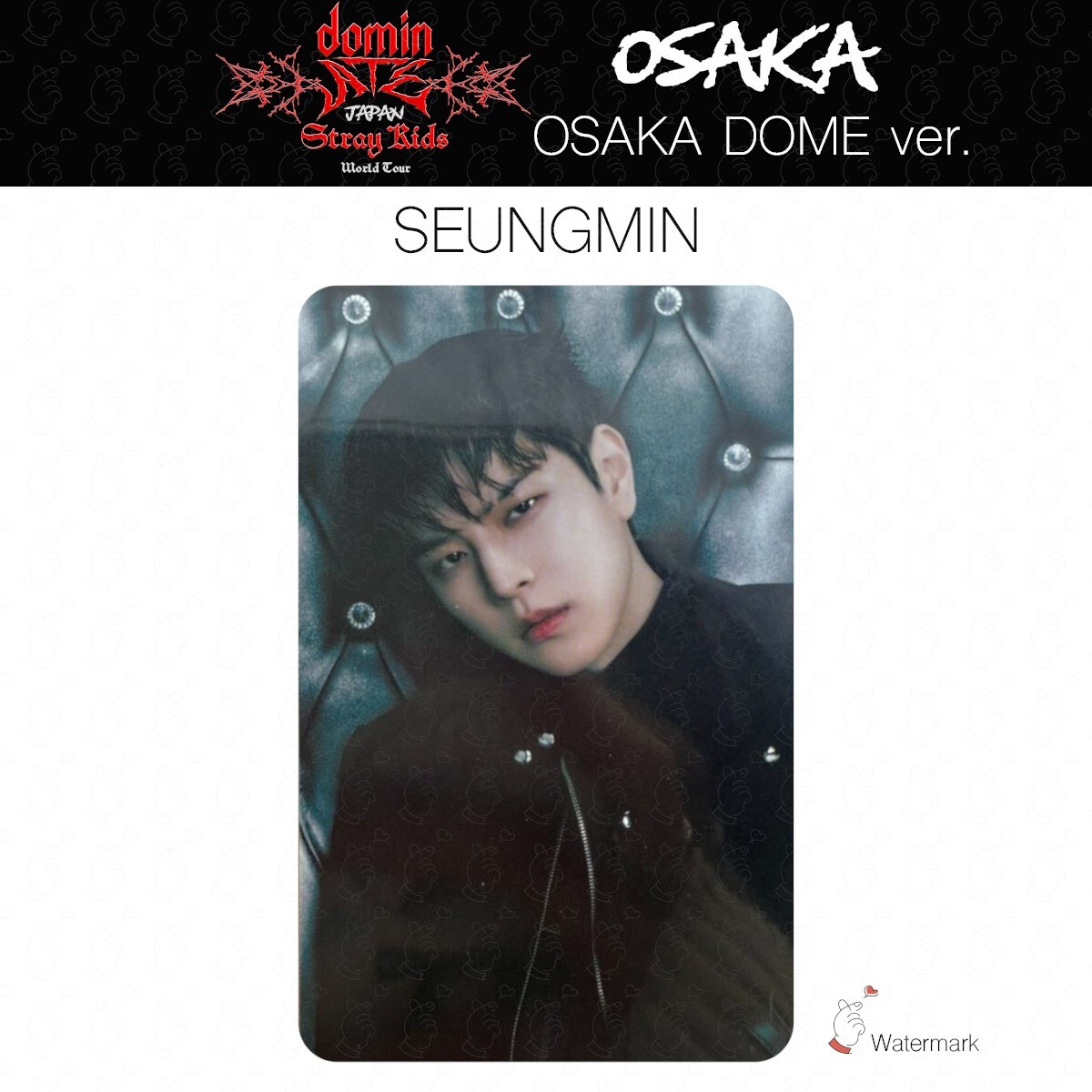 Stray Kids Tour dominATE JAPAN OSAKA Date limited photocard GIANT