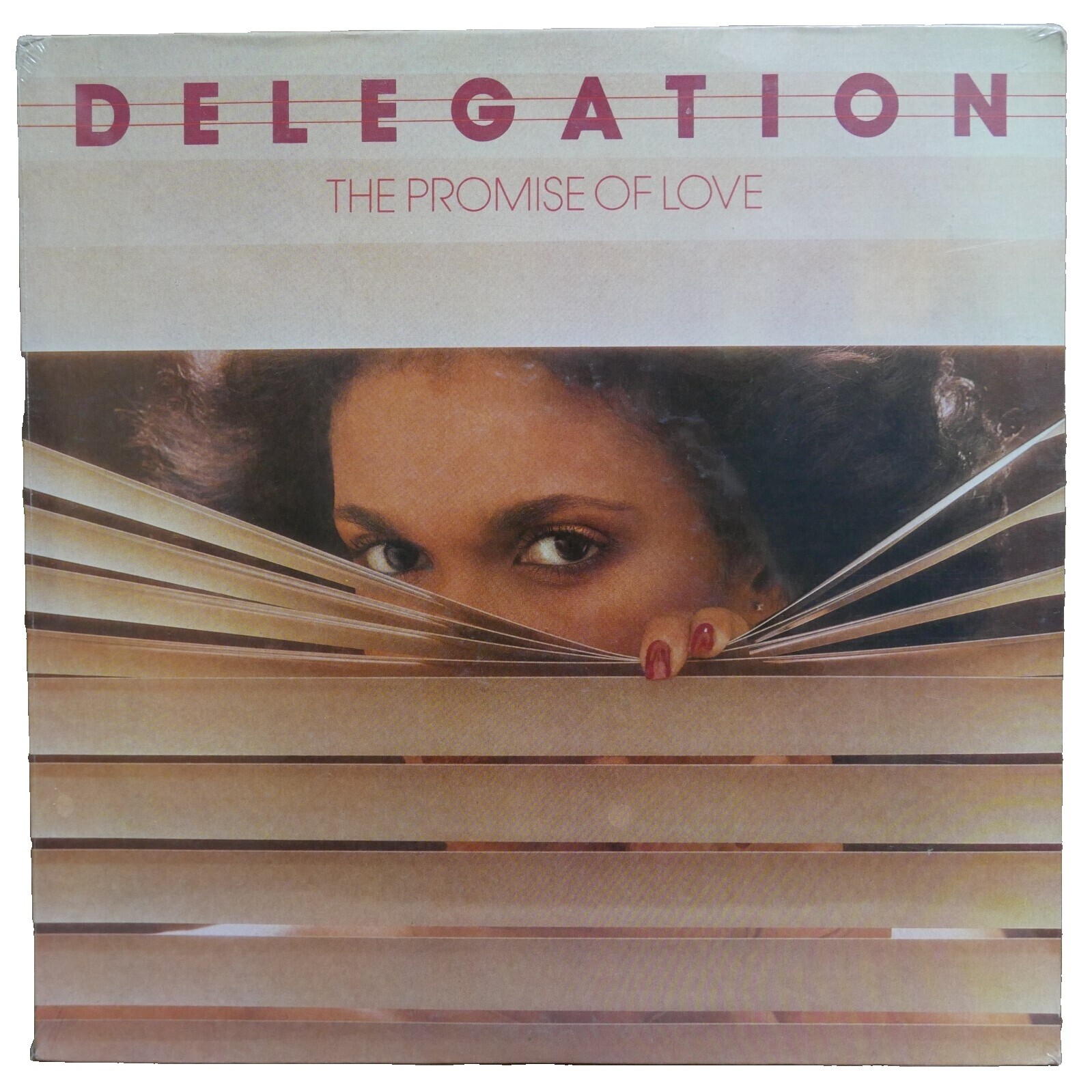 Delegation the Promise of Love | eBay