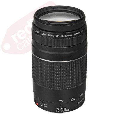 Canon EF 75-300mm f/4-5.6 III Telephoto Zoom Lens for Canon SLR