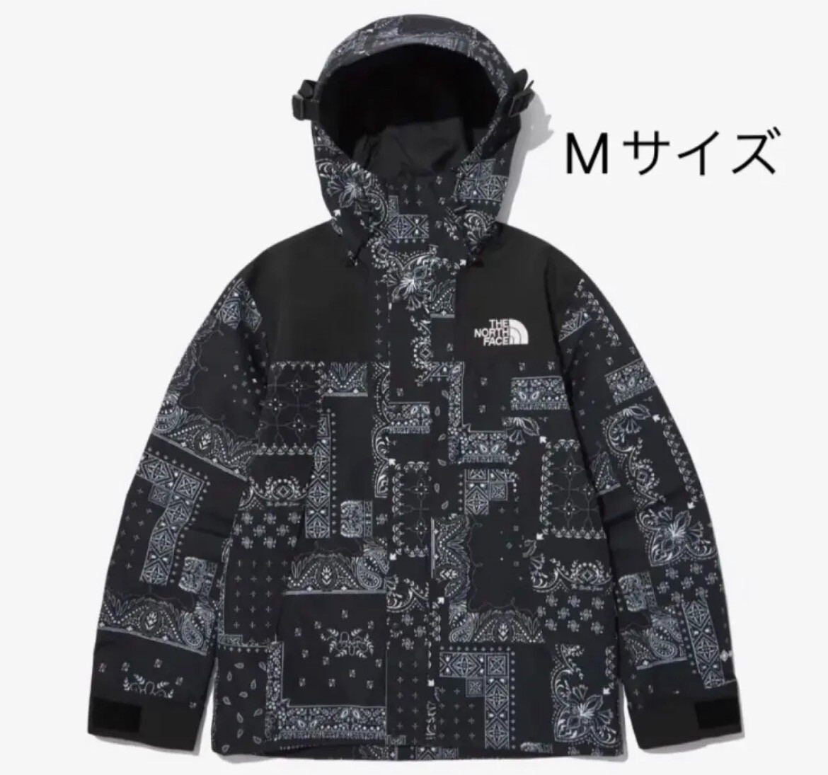 North Face White Label Paisley Gore Tex Mountain Jacket free