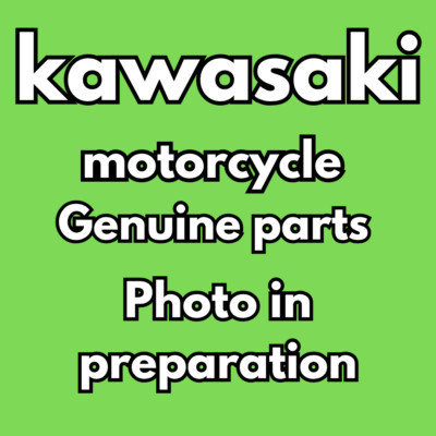 KAWASAKI GENUINE NEW 2018 - 2023 Z 900 RS Z900RS DRIVE KIT 99996