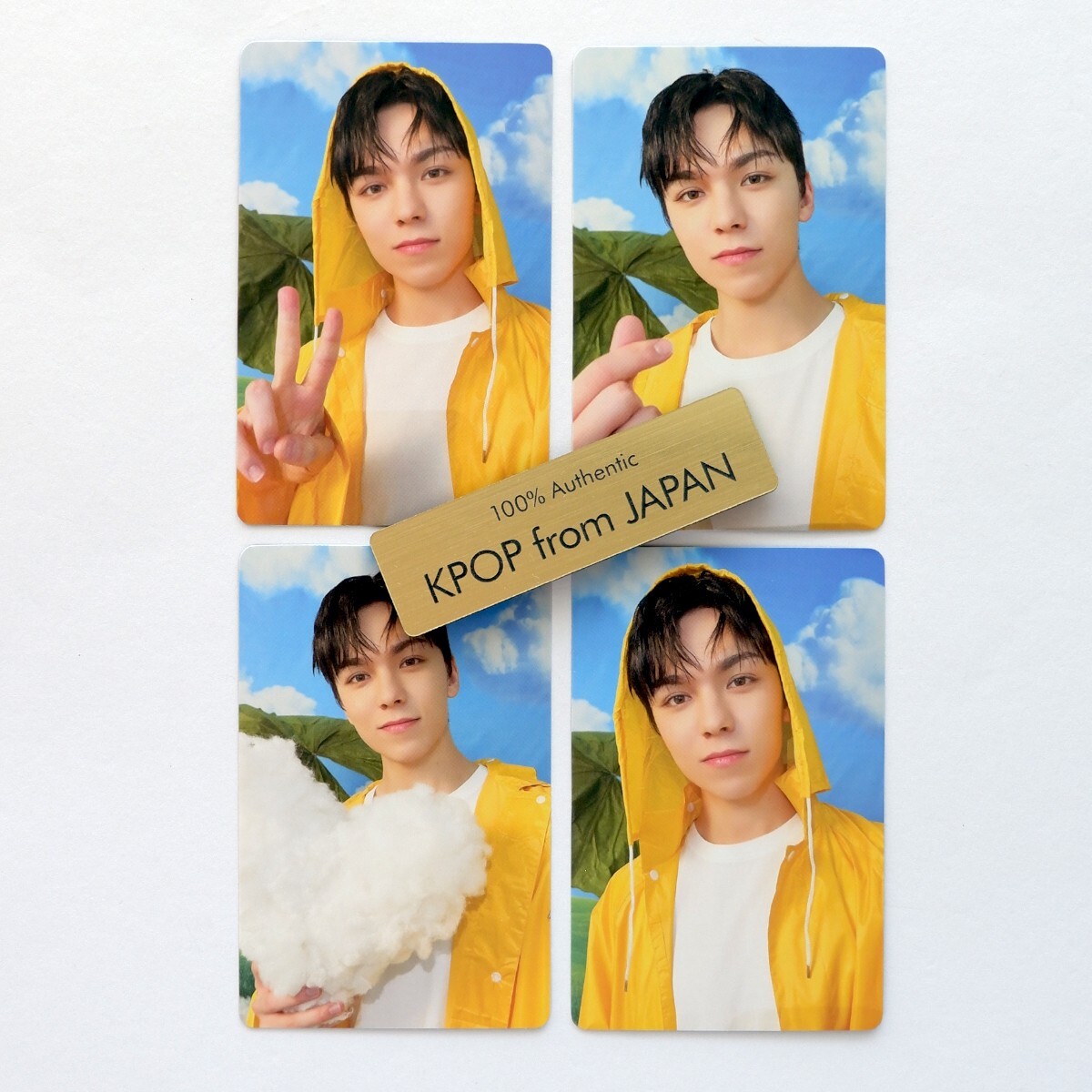 VERNON SEVENTEEN SEVENTEENTH HEAVEN CARAT ver. Complete Photocard