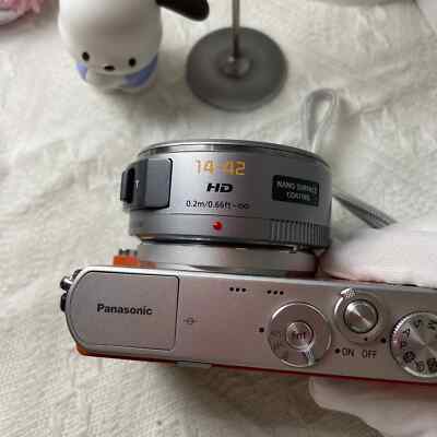 Panasonic LUMIX DMC-GM1 Digital Camera W/LUMIX G X Vario Power 14