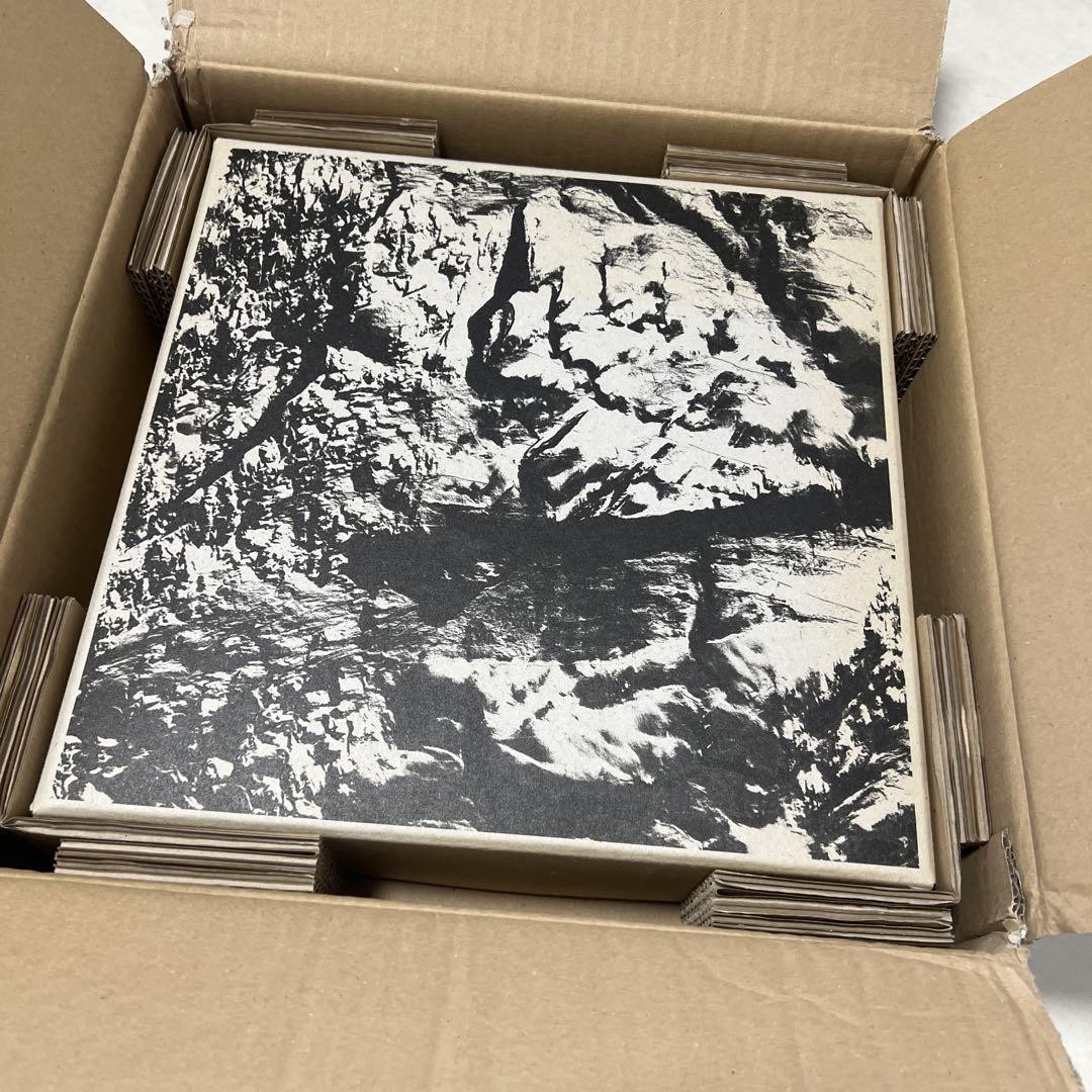 Light by Michel Comte, Special Edition Photography Book | eBay