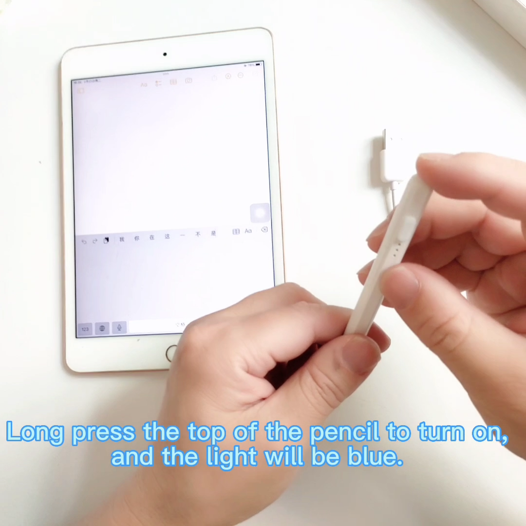 2PACK For Apple Pencil Stylus iPad 10/9/8/7/6th, Air 5/4/3, iPad