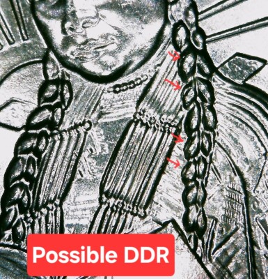 NEW 2024 P DDR Zitkala-Sa QUARTER Doubled Braid Error | eBay