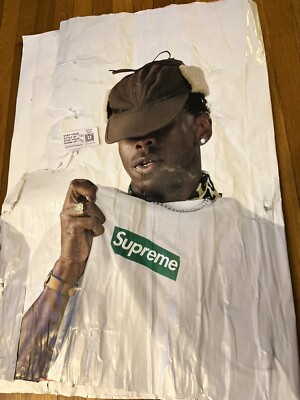 Supreme Tyler the Creator Poster (FW24) - New York City