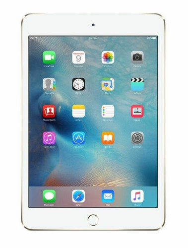 Apple iPad mini 4 16GB, Wi-Fi, 7.9in - Gold 888462367530| eBay