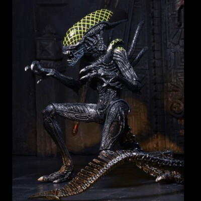 NECA Grid Alien Xenomorph Warrior AVP 7