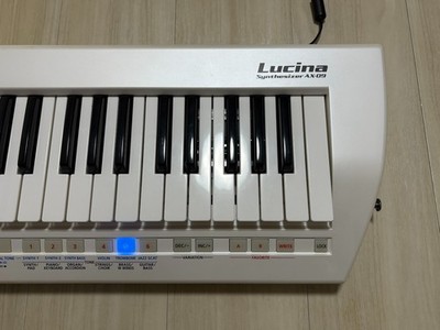 Roland AX-09 Lucina 37-Key Keytar Shoulder Keyboard Synthesizer