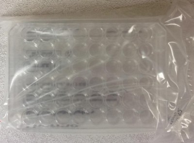 Nunc Nunclon 48-Well x 0.5mL MultiDish Cell Culture PS 150687