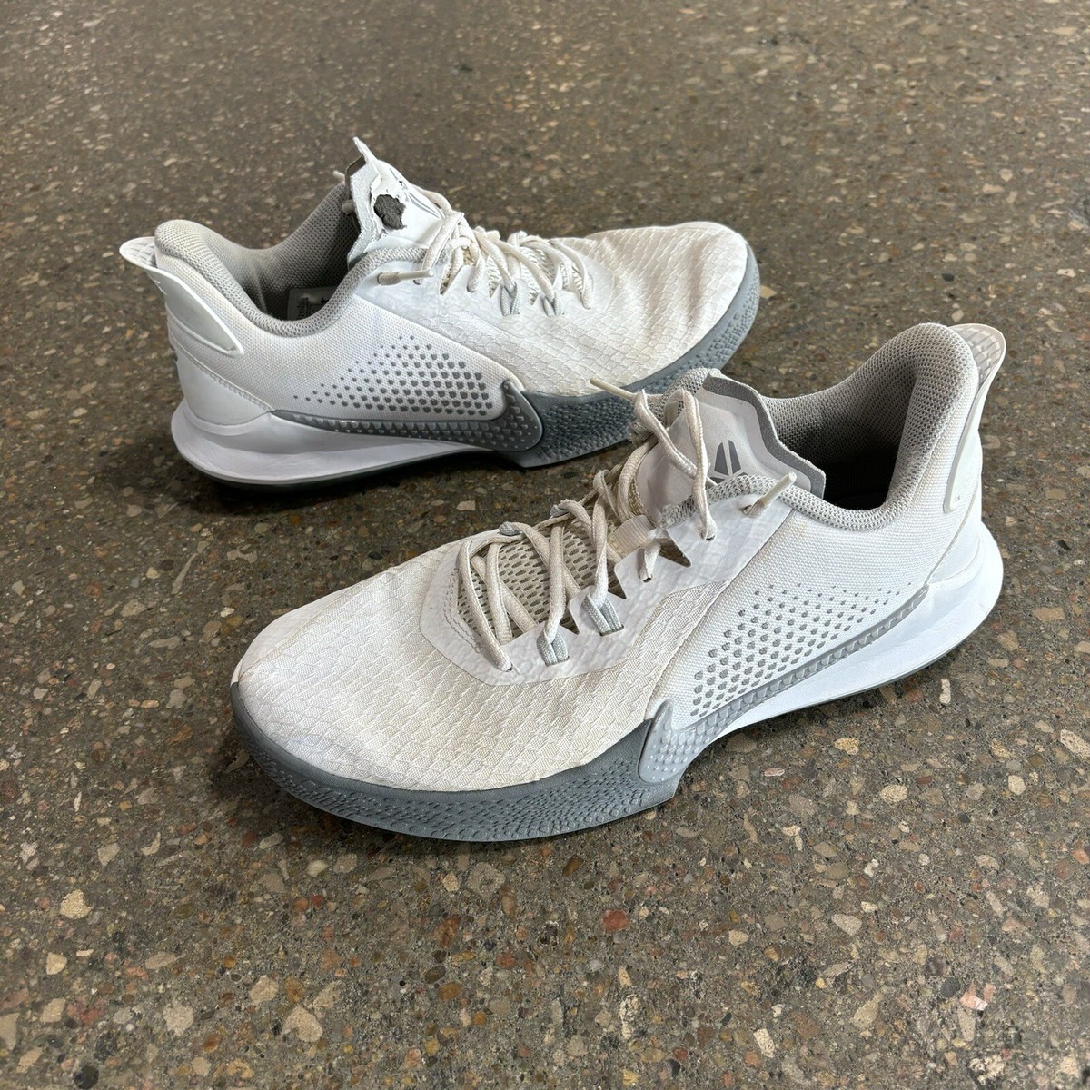 Nike Kobe Bryant Mamba Fury White Wolf Grey Platinum CK2087-100