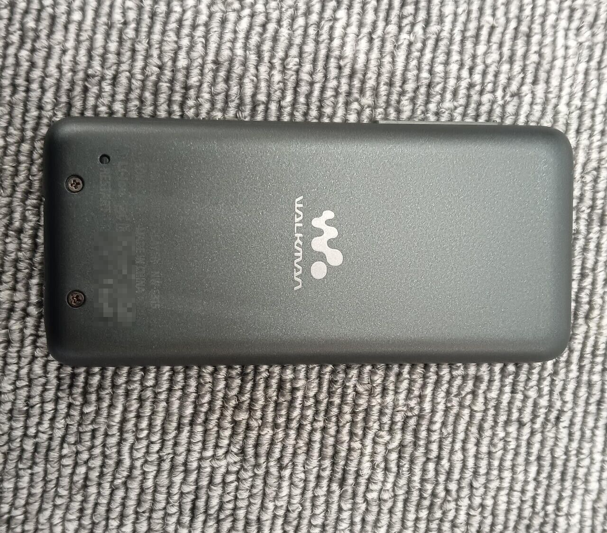 Sony Walkman NW-S315 16Gb Black Very Good | eBay