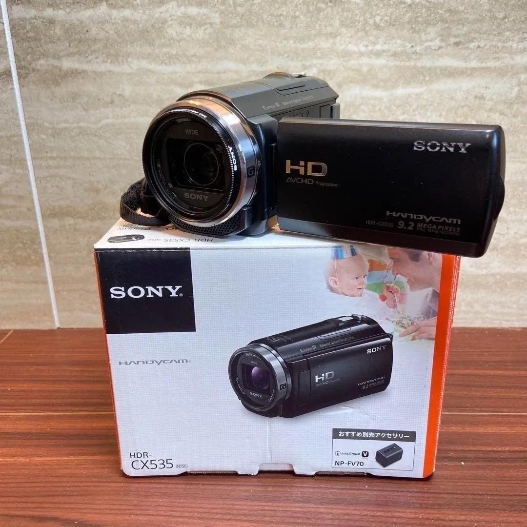 Sony Handycam HDR-CX550VE (64 GB) High Definition Camcorder for