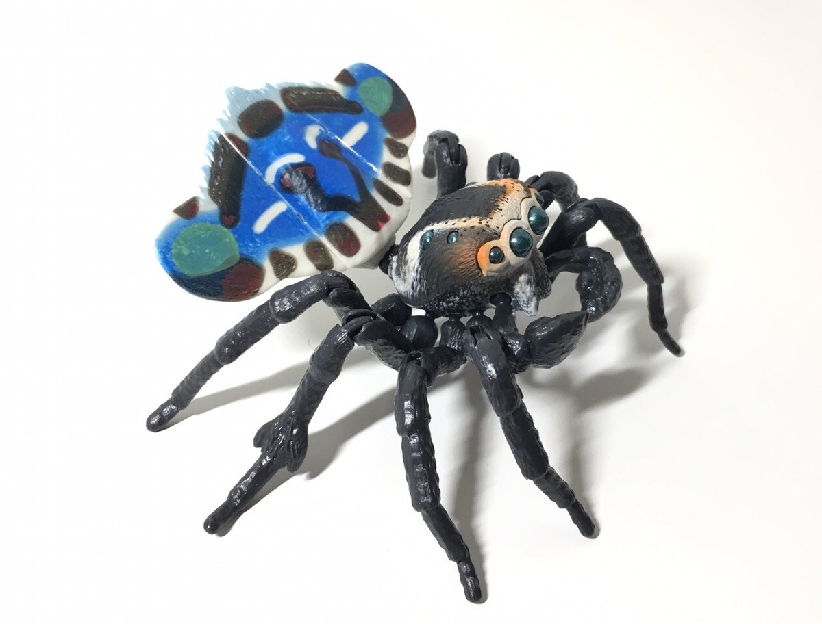 Bandai Japan Exclusive Dango Mushi Peacock Jumping Spider