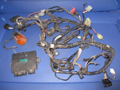 1998-1999 ZX9R ZX9 ZX 9 9R 900 Kawasaki Ninja Wiring Harness CDI