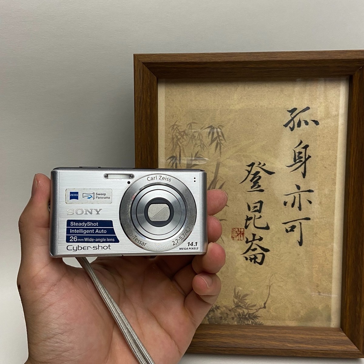 SONY Cyber-shot DSC-W530 Digital Camera 14.1 MP 4x Optical Zoom