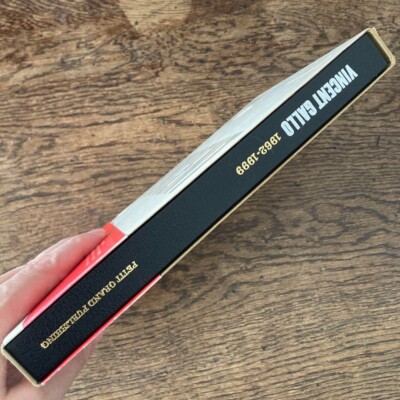 VINCENT GALLO 1962-1999 Photo Collection First Artist Book Petit