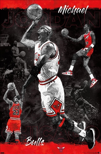 Michael Jordan WORK OF ART Chicago Bulls Official 1990s Retro