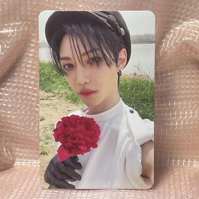 Felix Official Photocard Stray Kids Mini Album Maxident Jyp Ent