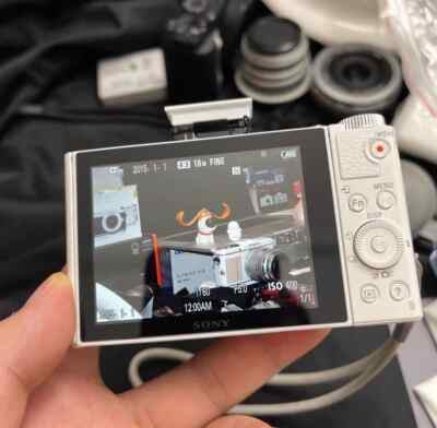 Sony Cyber-shot DSC-WX500 WHITE 18.2MP 30x Optical Zoom Camera