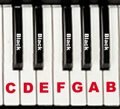 Roland XP-30 XP-50 XP-60 XP-80 JV-80 Replacement Key | eBay