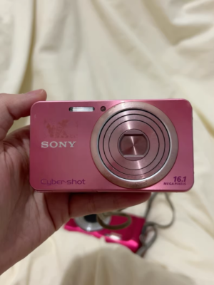 Sony Cyber-shot DSC-W570 16.1MP Digital Camera 5x Zoom with