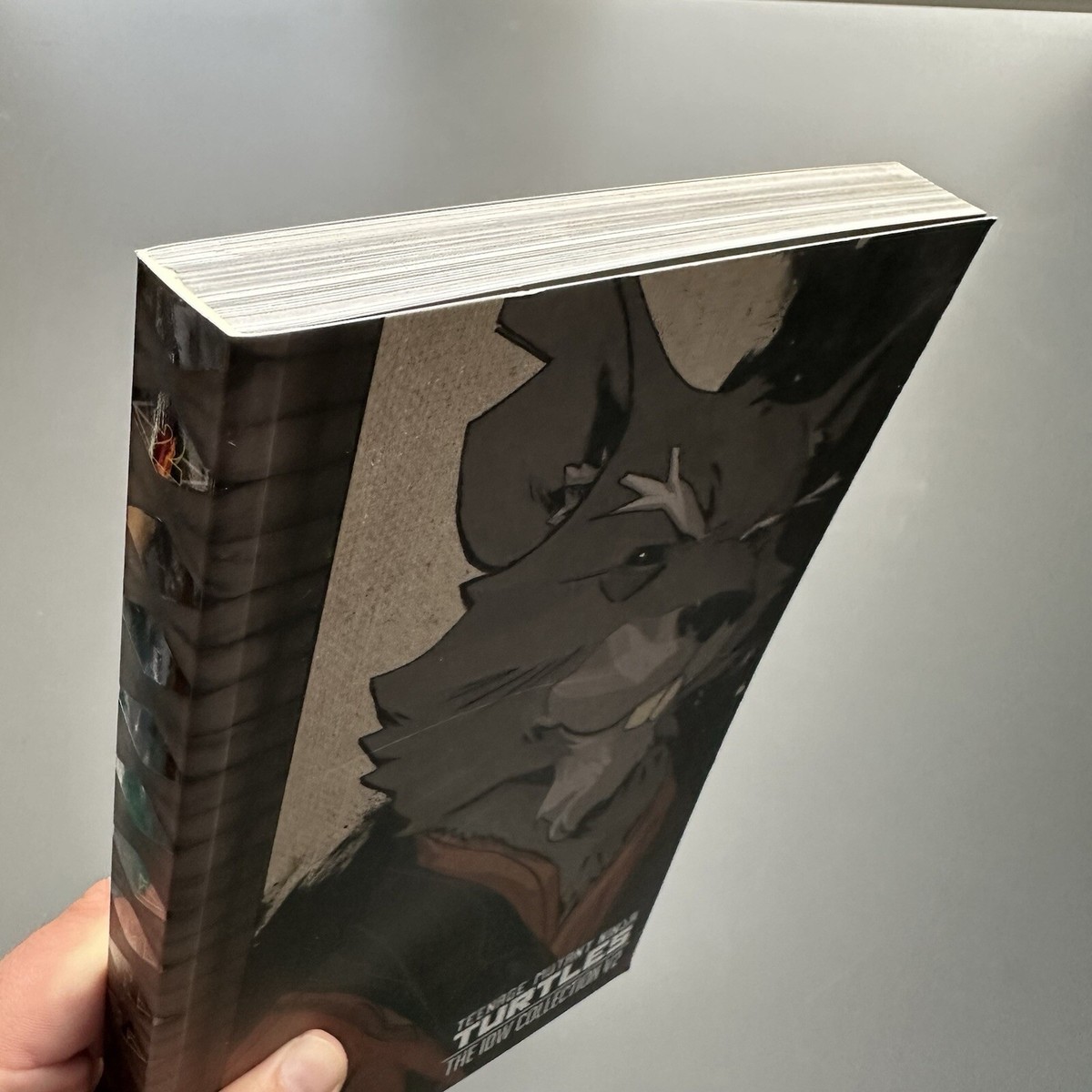 Teenage Mutant Ninja Turtles The IDW Collection Vol 2 Trade