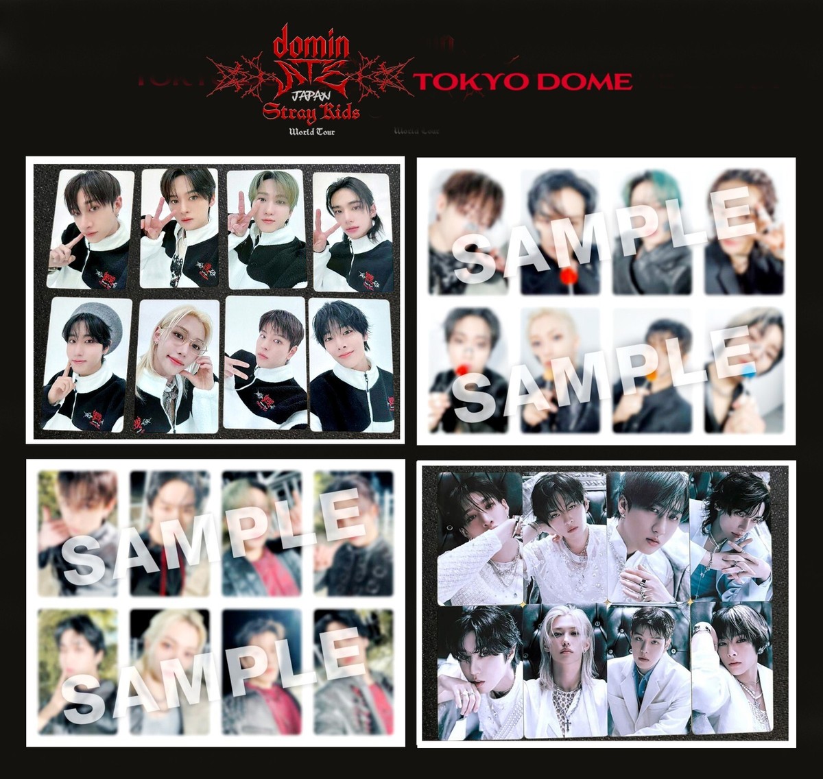 Stray Kids Tour dominATE JAPAN TOKYO Limited Official Photocard