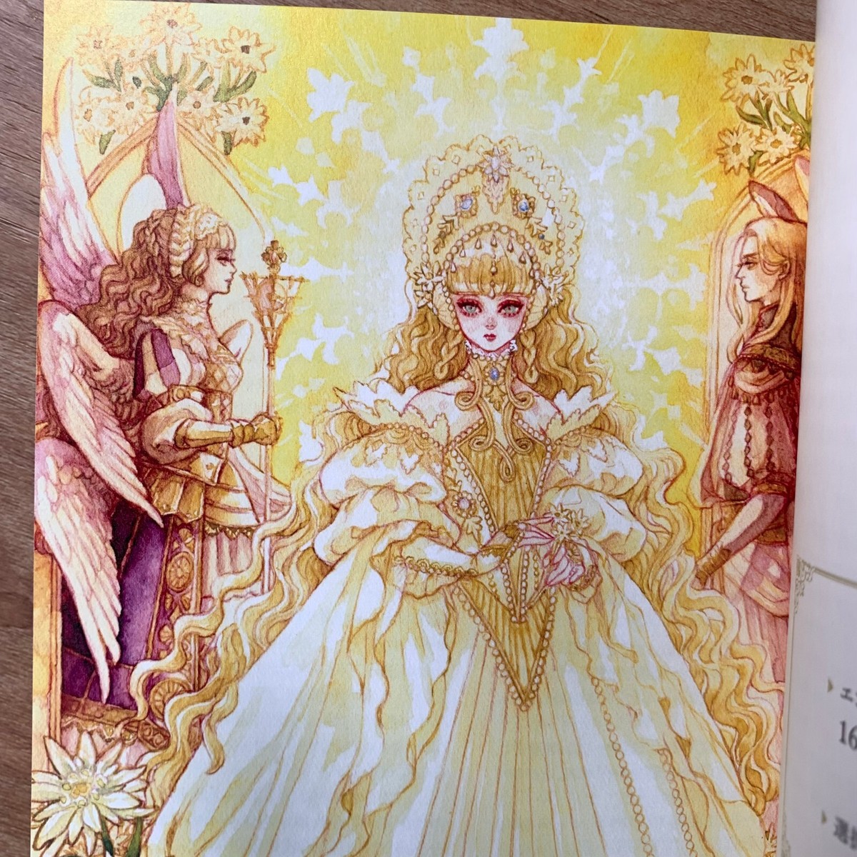 The Engraved Witch in a Fantasy World Sakizo Illustration Art Book