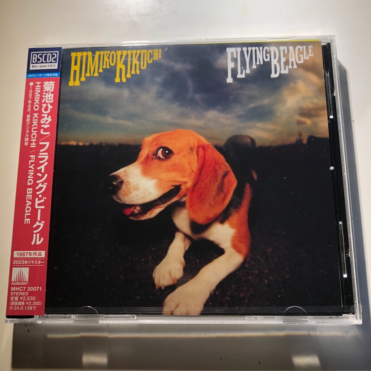 MUGAMICHILL ムガミチル Birds CD MUGAMICHILL ムガミチル Birds CD