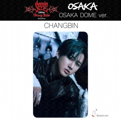 Stray Kids Tour dominATE JAPAN OSAKA Date limited photocard GIANT