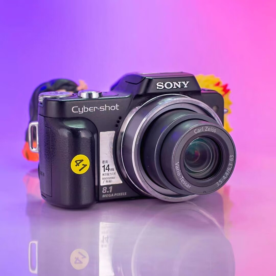 Sony Cyber-shot DSC-H3 8.1MP 10X Optical Zoom CCD Digital Camera