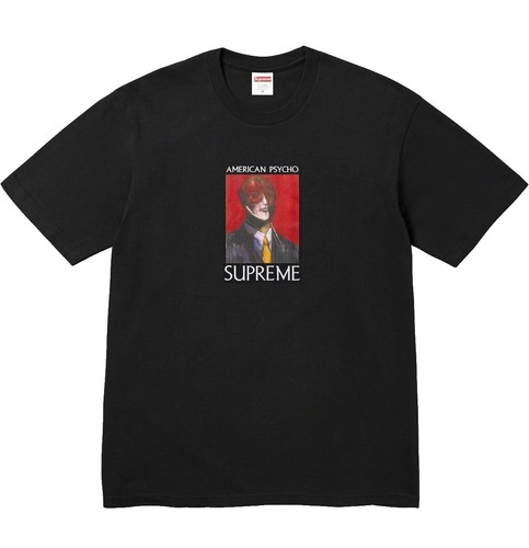 Supreme T Shirt Mens Size Medium M Black Taj Mahal Camel Desert