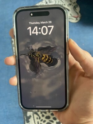 iPhone 14 Pro - 128 GB - Unlocked with Physical Sim Card Tray | eBay