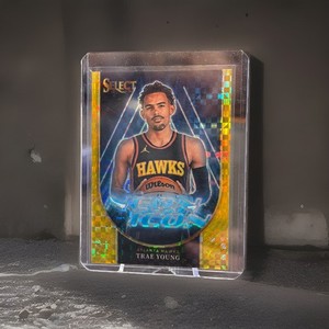Trae Young Prizm | eBay