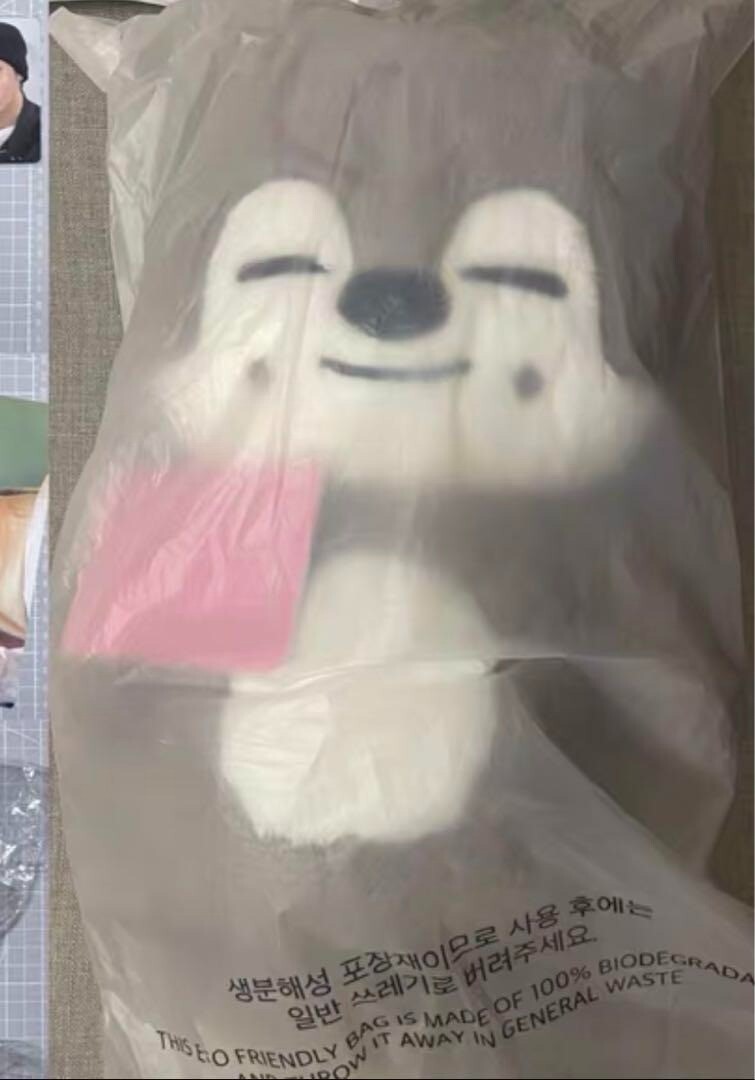 Stray Kids SKZOO WolfChan Official Plush Doll H 60cm Teddy Ver 5