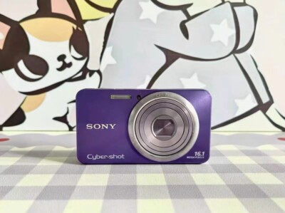 SONY Cyber-shot DSC-w570 16.1MP 5x Optical Zoom Digital Camera