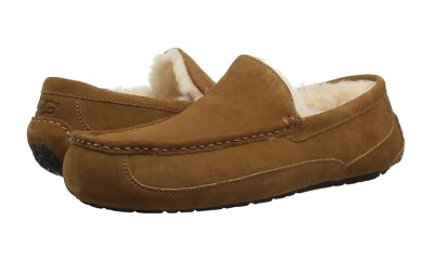 Ugg Ascot Moccasin Men's Chestnut Slipper Size 11 | eBay