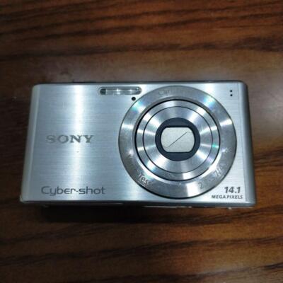 Sony Cyber-Shot DSC-W530 14.1MP Digital Camera Silver DSC-W530S