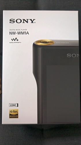 Sony Walkman Black (128 GB) Digital Media Player for sale online