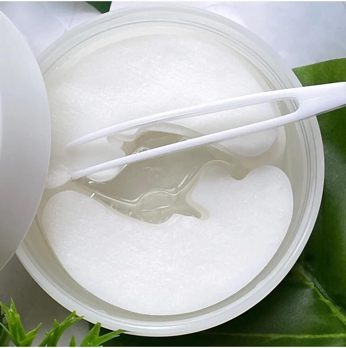 $_57.JPG?set_id=880000500F