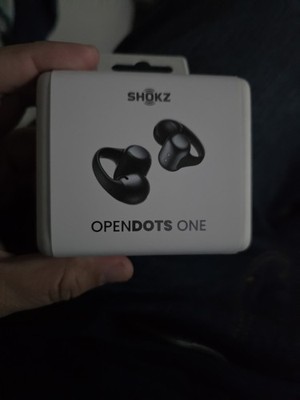 Shokz - OpenDots ONE Open-Ear True Wireless Earbuds - Black E310