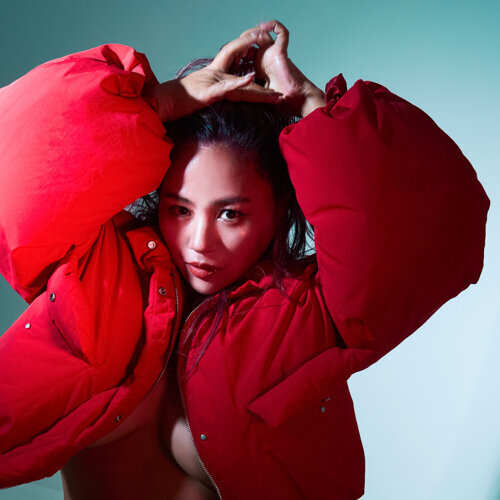 The Perfect Vision(Wicked Mix)-歌詞-MINMI-KKBOX