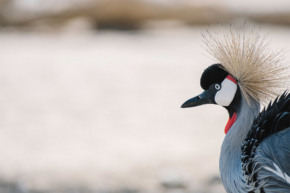 0285AoMDsAZcvqoBc7AKBus-8..