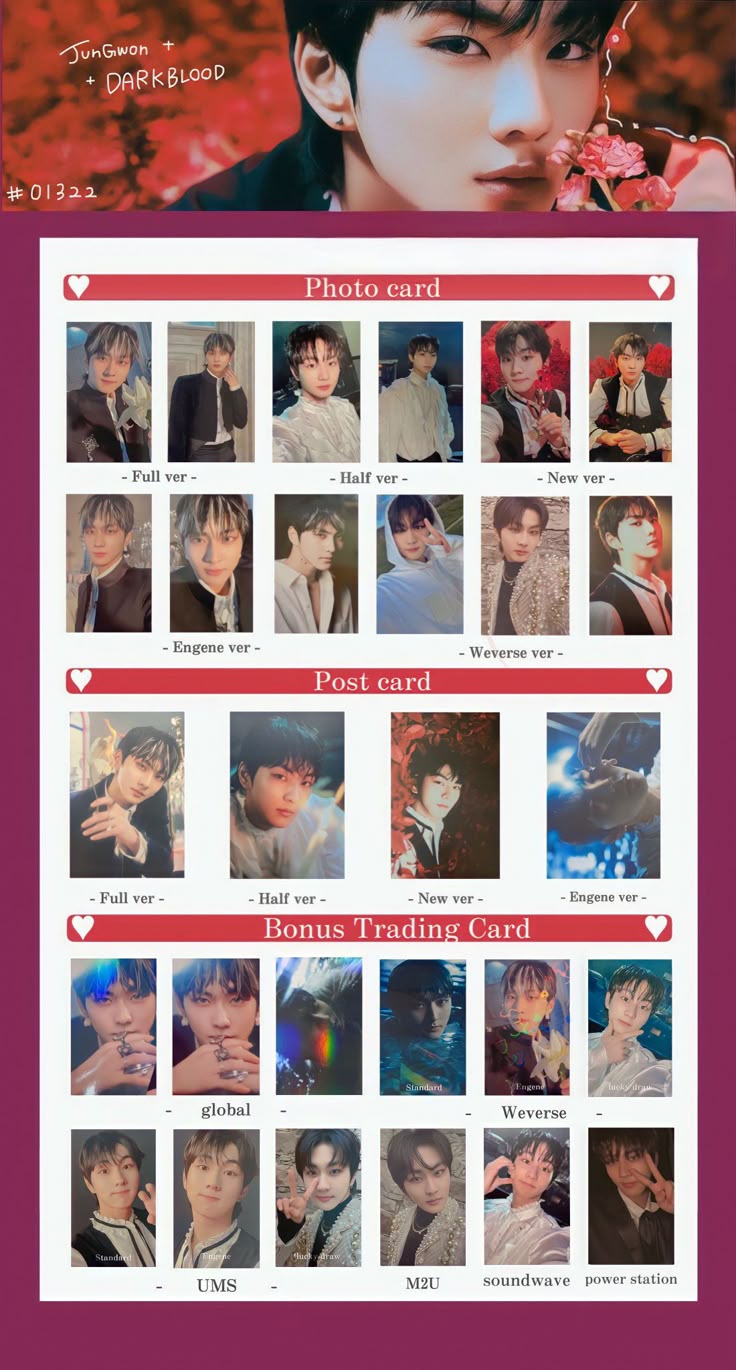 ENHYPEN ラキドロ トレカ コンプ DARKBLOOD kpopmerch 【公式通販】